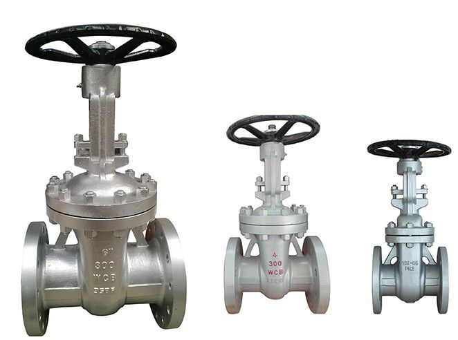 Comparison of the characteristics of several gate valves with different structures