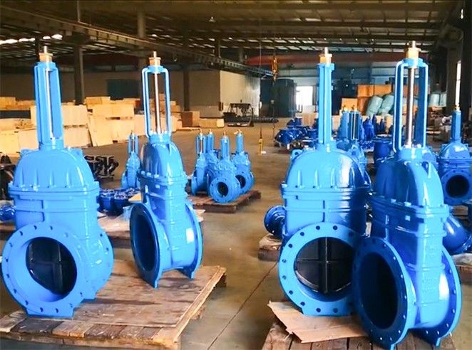 Big size resillent seat gate valves—WESDOM GROUP