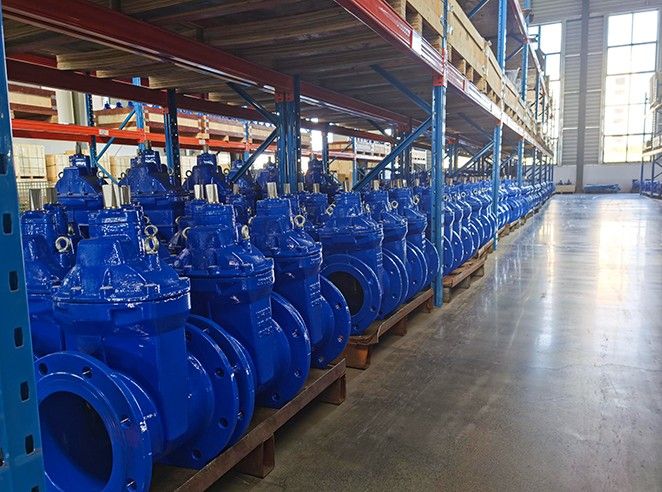 WESDOM High Performance Resilient Gate Valve