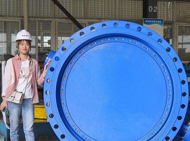 The working characteristics of butterfly valve