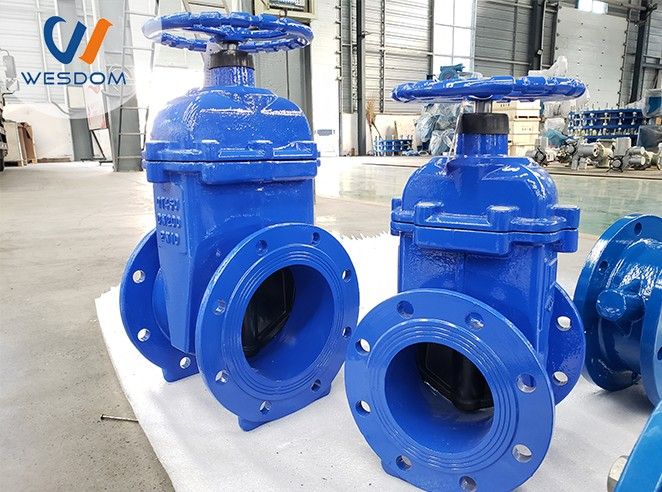 The difference between gate valve and globe valve