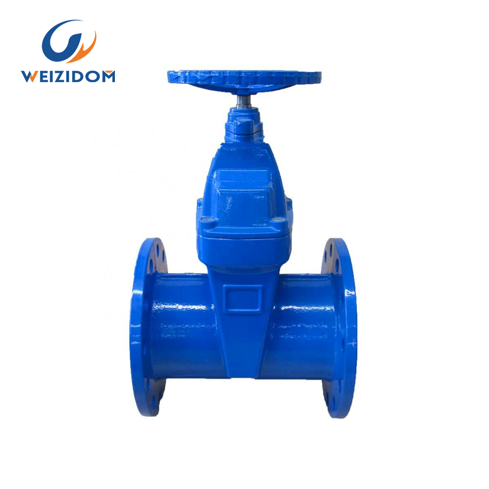 BS5163 Ductile iron gate valve1