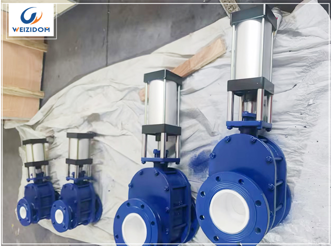 Unlock Superior Sealing: Your Ultimate Guide to Double Disc Gate Valves